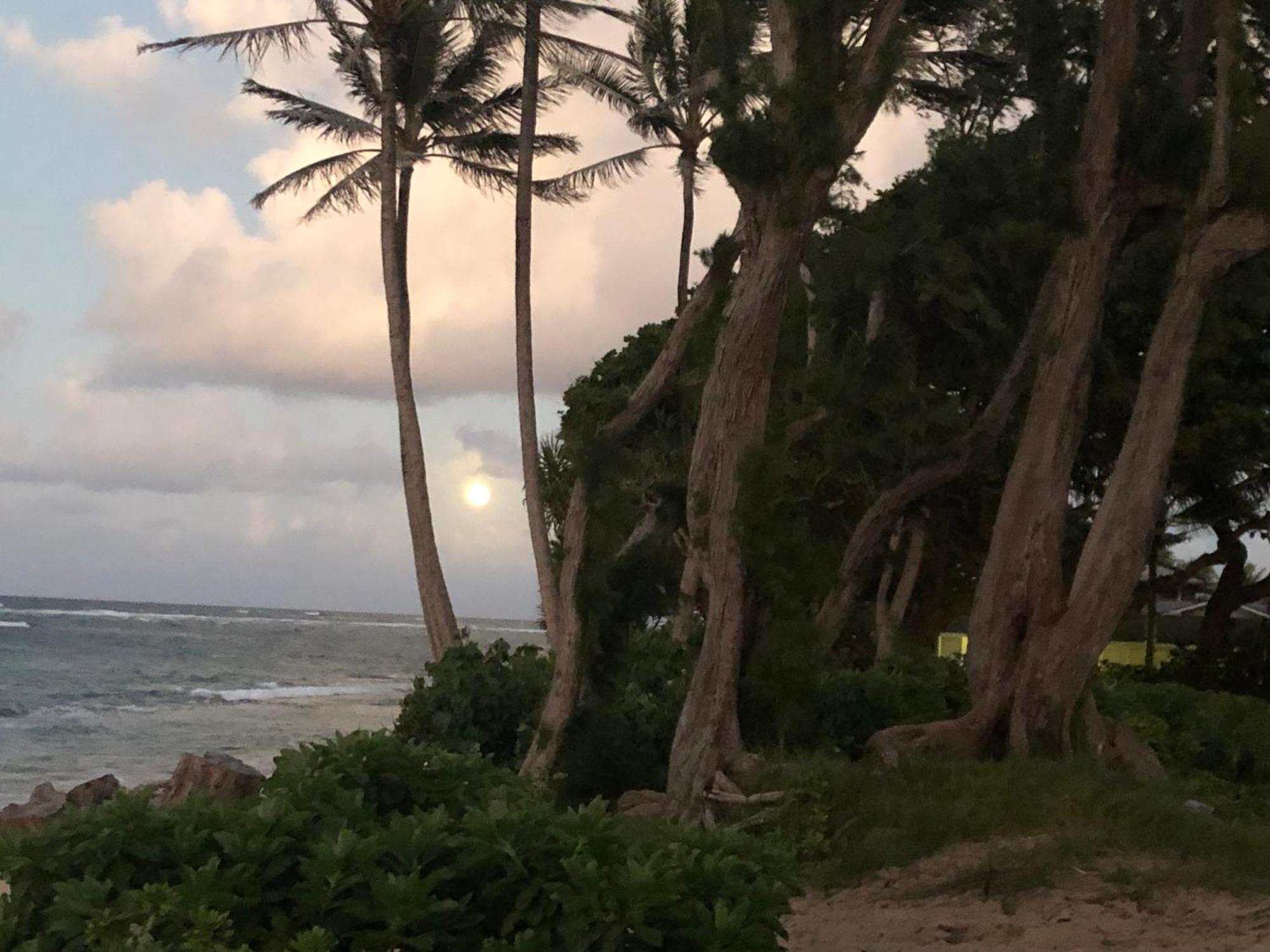 Tropical Treasure On A White Sandy Beach Villa Laie Exterior foto